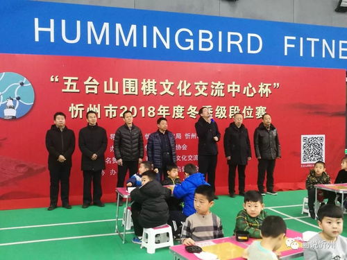 方寸棋盤間 少兒顯身手——“五臺山圍棋文化交流中心杯”2018年度忻州市圍棋段級位賽成功舉辦
